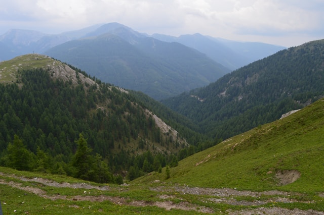 Гори